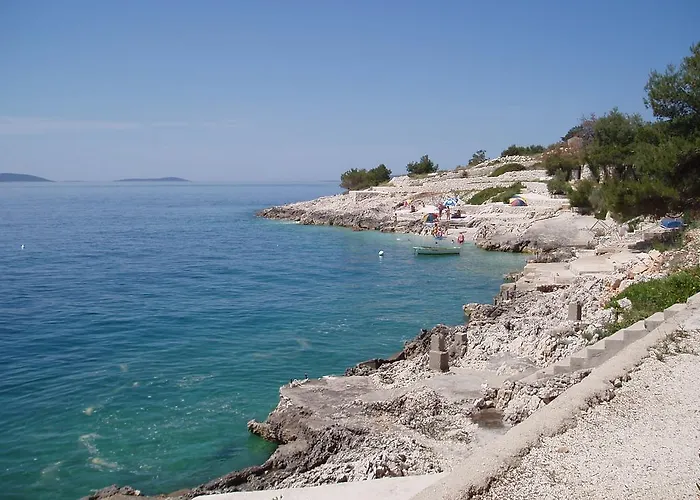 Niko Trogir